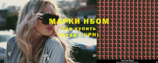 apvp Бородино