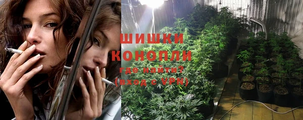 apvp Бородино