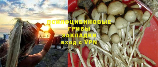ешки Бронницы
