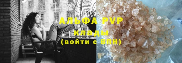 PSILOCYBIN Богданович