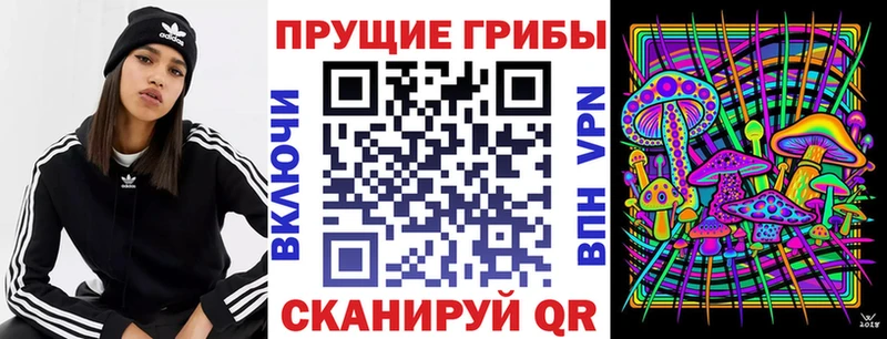 кракен онион цена наркотик Кызыл Псилоцибиновые грибы мицелий